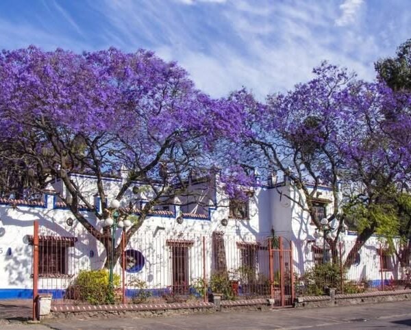 Hacienda de San Nicolas